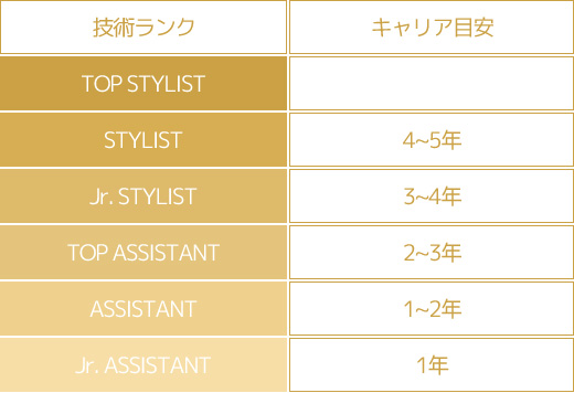 キャリア目安表